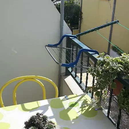 Viktorija Сегет-Враница